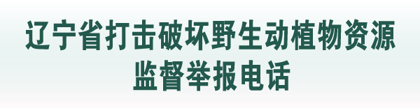 辽宁省公布打击破坏野生动植物资源监督举报电话