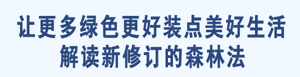 解读新修订的森林法