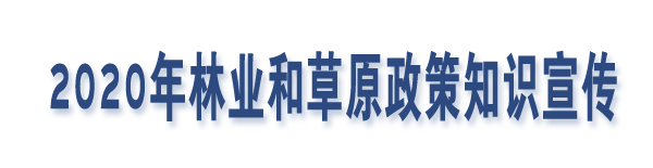 2020年林业和草原政策知识宣传