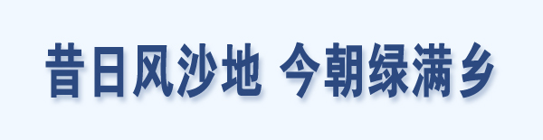 昔日风沙地 今日绿满乡